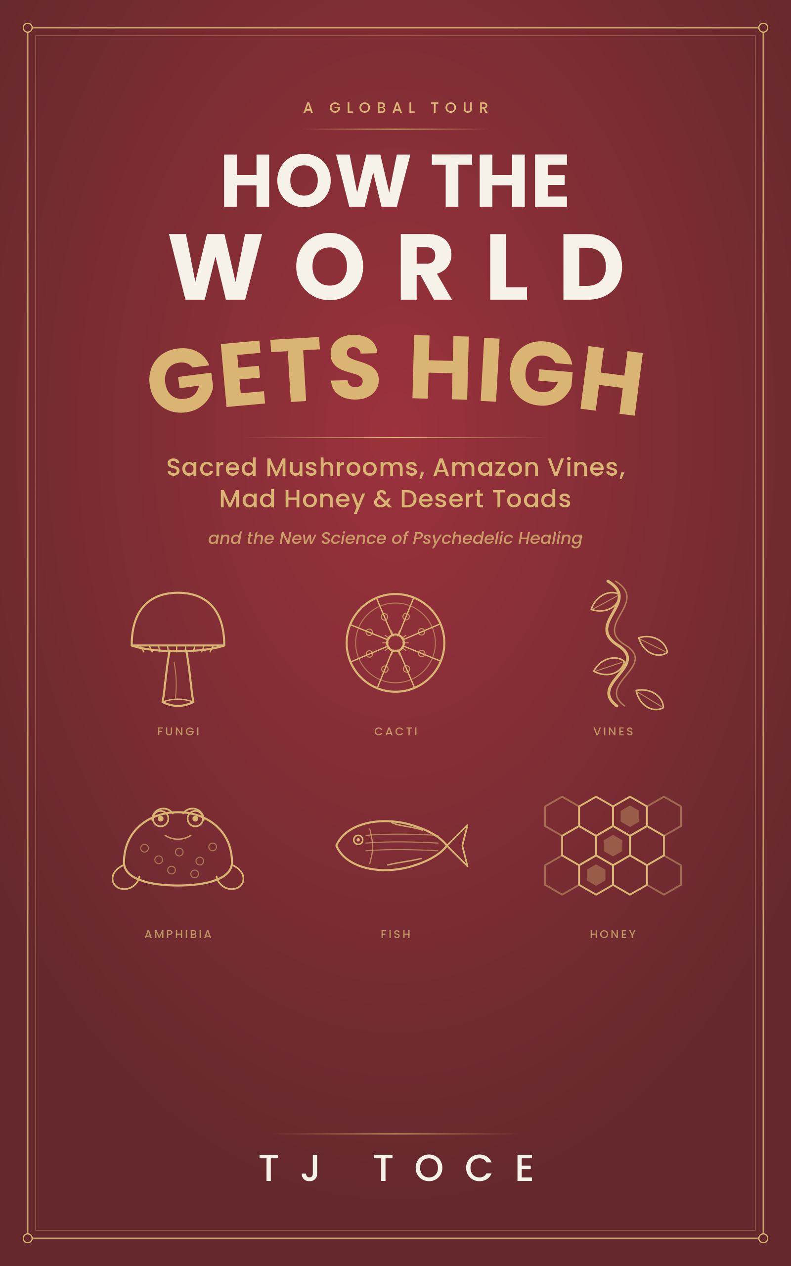 Cover of How the World Gets High by TJ Toce